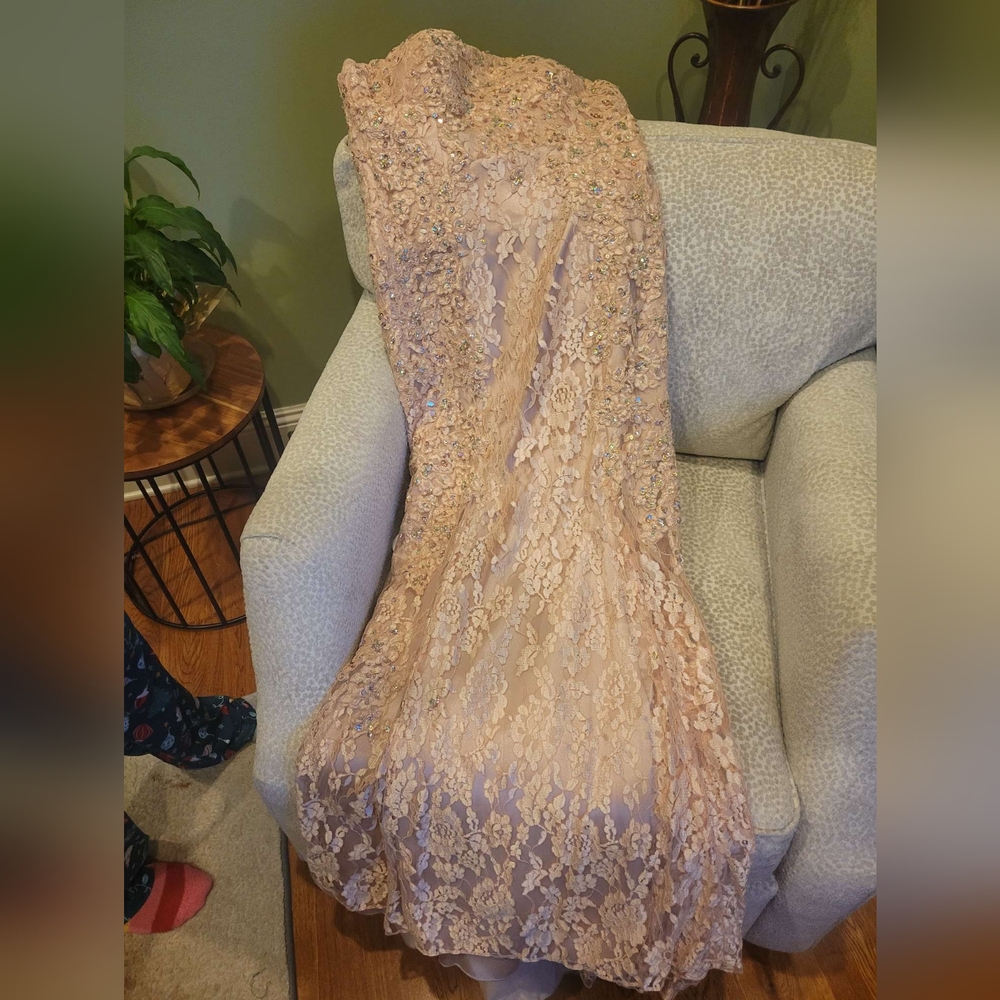 Mother of the Bride Dress Champaign Color Sz 8 VM Collection Nude - Picture 9 of 11